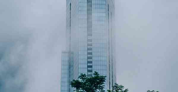 佛跳墙破解蓝奏云